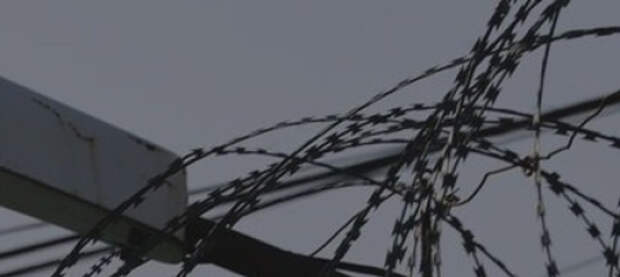 Лукашенко помиловал 250 осуждённых на фоне визита спецпредставителя Трампа