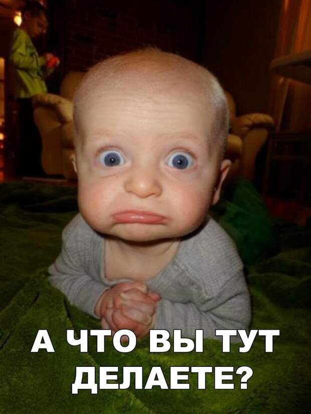 Мемы на вечер.