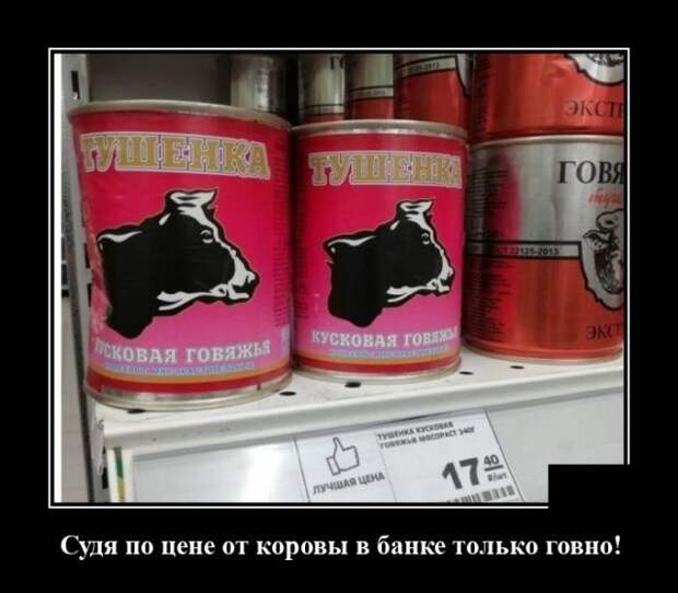 demotivatory-demotivator-smeshnye-demotivatory-demotivator-so-smyslom