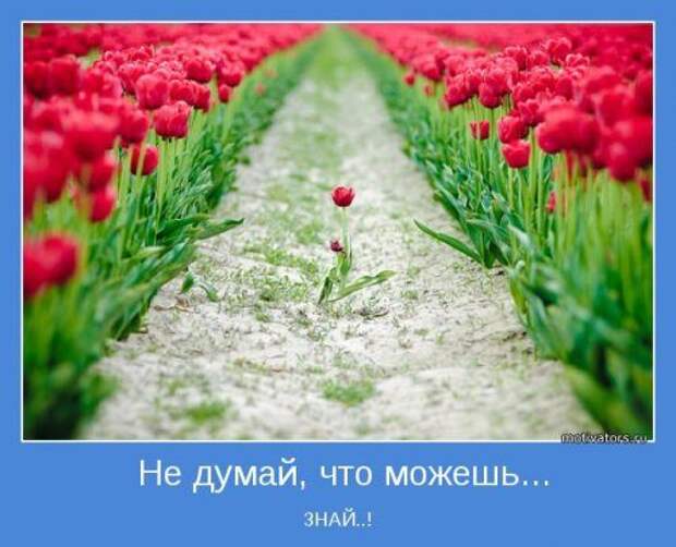 Мотиваторы позитива