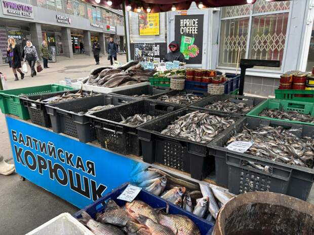 Смольный рассказал, где в Петербурге купить корюшку