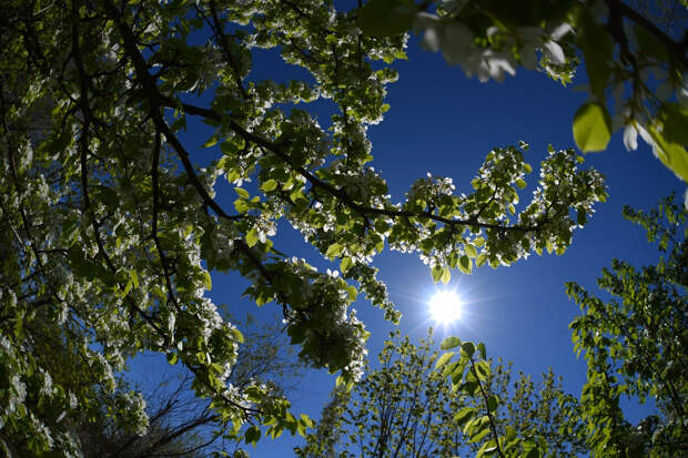 Весной всё сгорит: Прогноз на 2026 год вызвал шок. Синоптики предупредили – аномалии будут