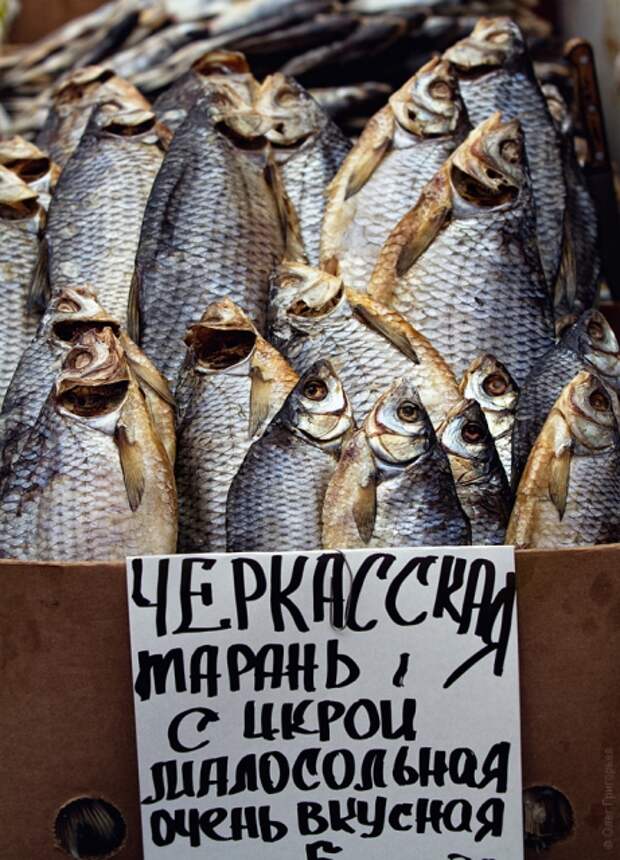 Одесский рынок «Привоз» (рыбные ряды)