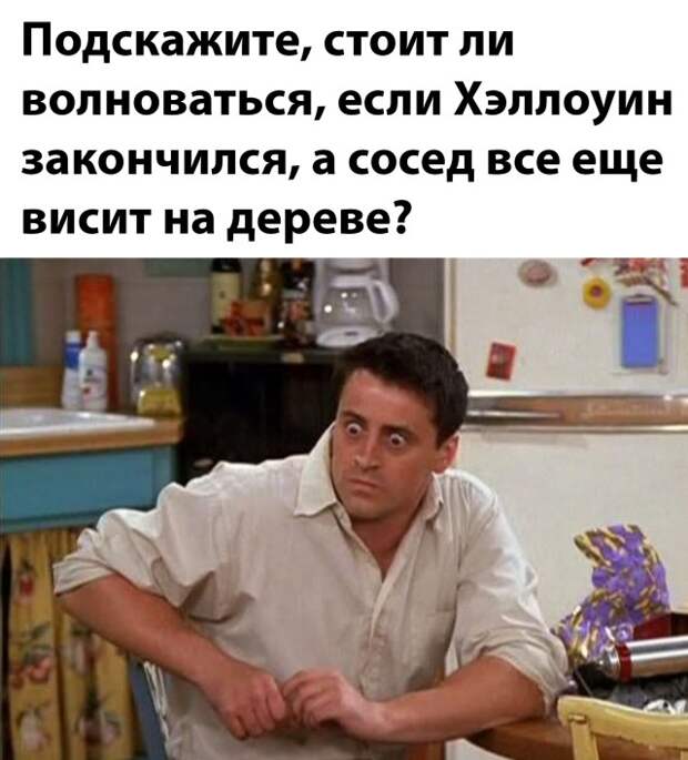 Смешные картинки 2 ноября 2021 года