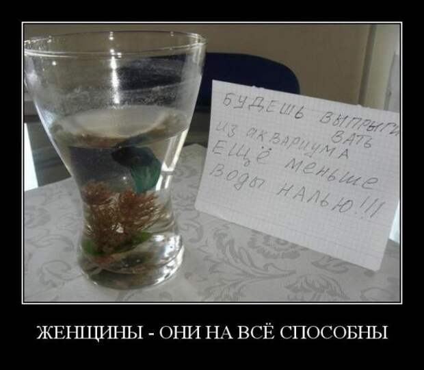 Демотиваторы " 101 %" 04/04/12