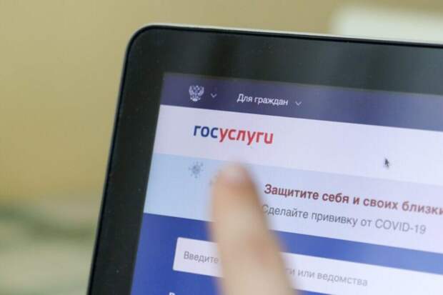 Реестр злостных неплательщиков алиментов заработал на «Госуслугах»