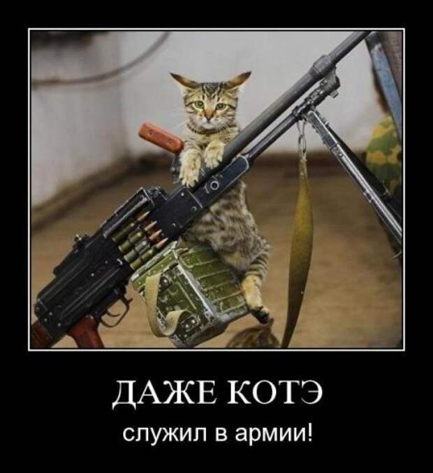 1 (450x491, 38Kb)