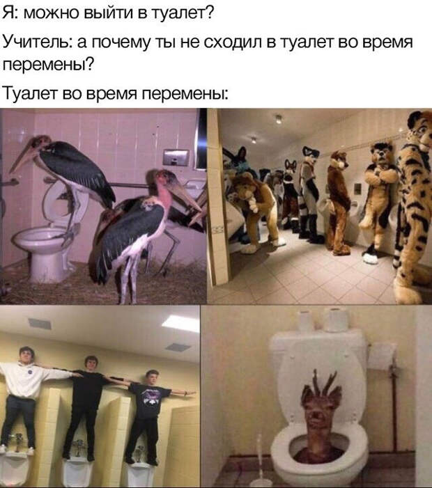 Туалет в школе :D Туалет в школе :D
