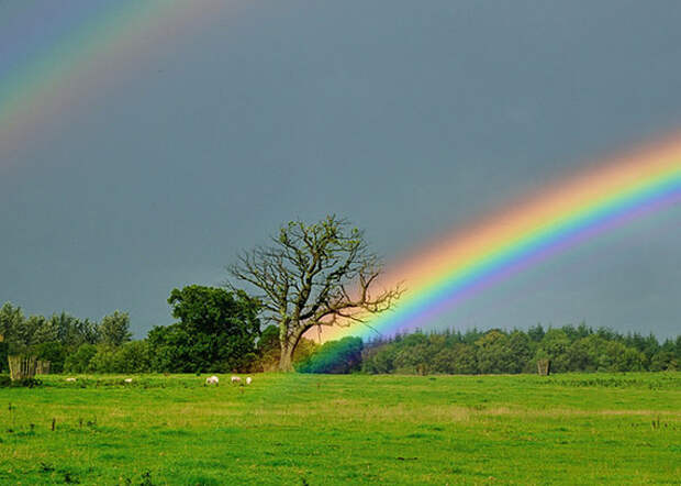97595-rainbows-rainbow.jpg