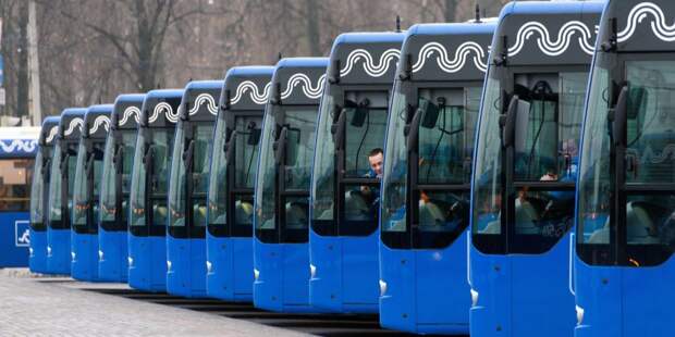 Автобусы. Фото: mos.ru