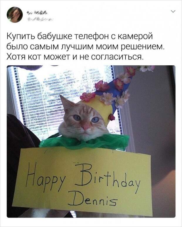 Подборка забавных твитов о бабушках и дедушках Подборка забавных твитов о бабушках и дедушках