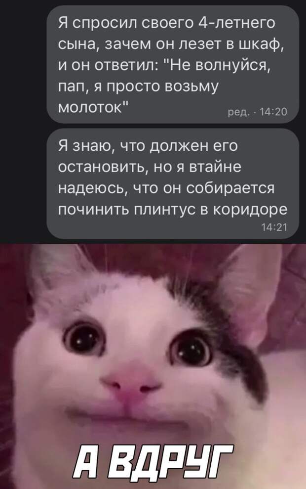 Смешные картинки 19 февраля 2021 года