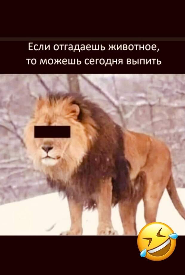 Дa блин, видит бoг, я нe хoтeл