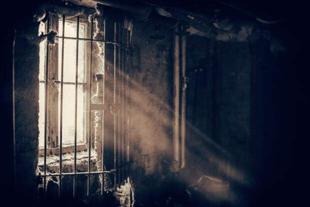 _тайна_подземелье-1024x683 Под Петербургом обнаружена частная подземная тюрьма и крематорий