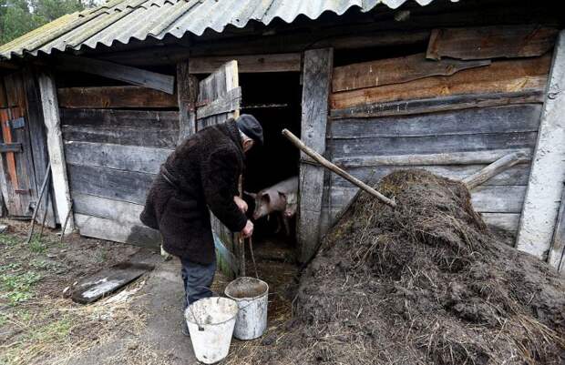Жизнь в зоне отчуждения Чернобыльской АЭС (19 фото)