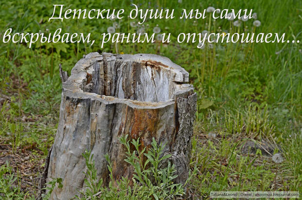 Развод Развод
