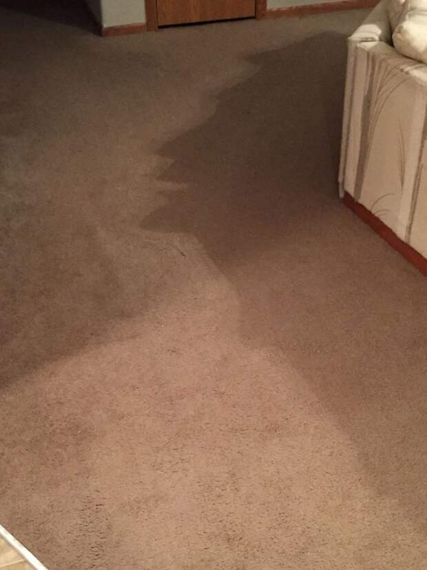 The Shadow Of My Couch Looks Like The Silhouette Of A Man
