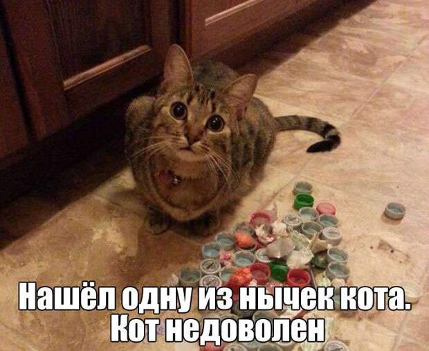 Веселые картинки Веселые картинки
