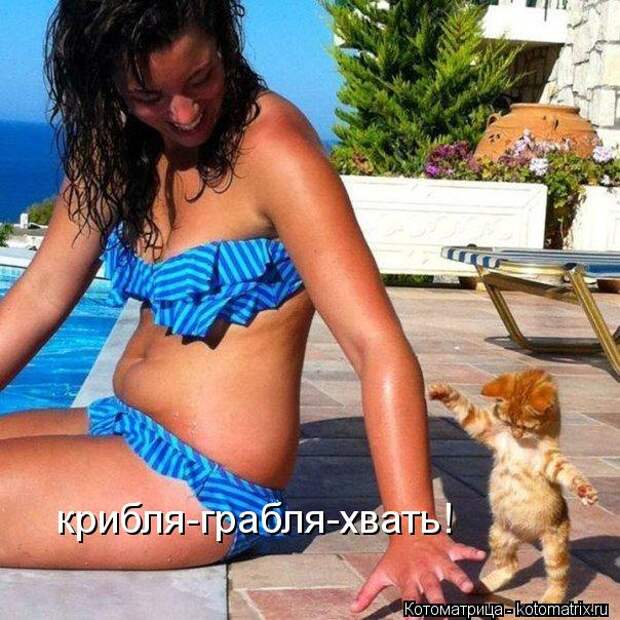 Похожее изображение