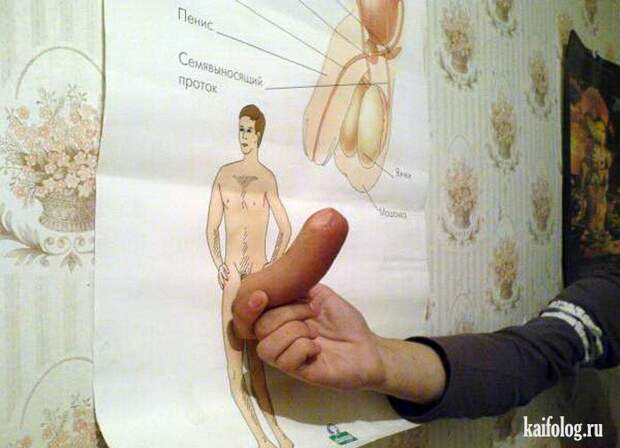 Прикольные сосиски (55 фото)