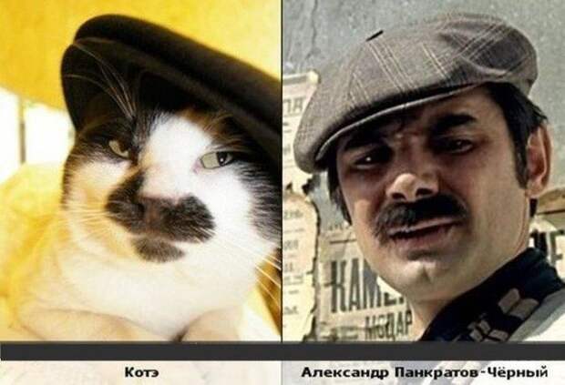 Невероятные сходства. Вот это хит! Невероятные сходства. Вот это хит!