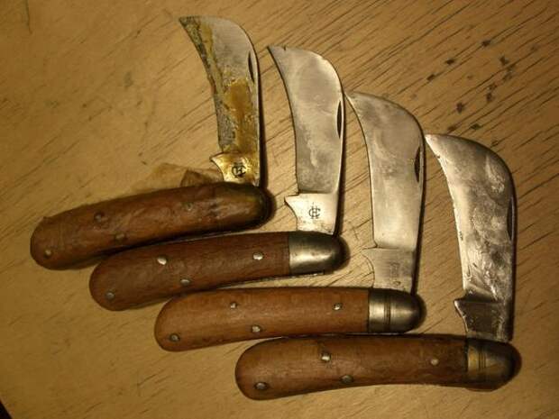 Мичуринские ножи. Фото с сайта i2.guns.ru