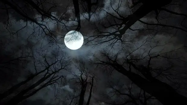 Как то ночью…