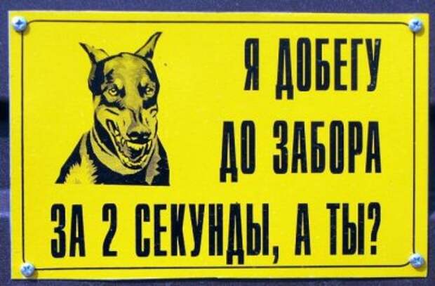 Прикольные надписи