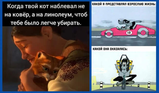 Смешные картинки с надписями и какой оказалась взрослая жизнь