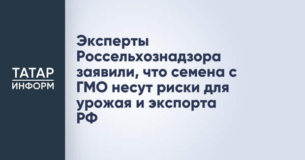 Эксперты Россельхознадзора заявили, что семена с ГМО несут риски для урожая и экспорта РФ