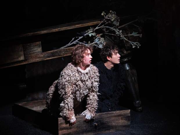 Как сказать человеку, чтобы он понял: «Мох. История одного пса» в театре «Шалом»