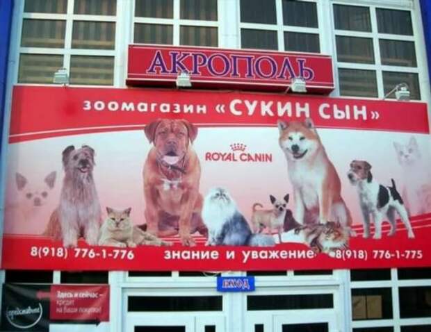 Прикольные вывески. Подборка chert-poberi-vv-chert-poberi-vv-32560217102020-15 картинка chert-poberi-vv-32560217102020-15