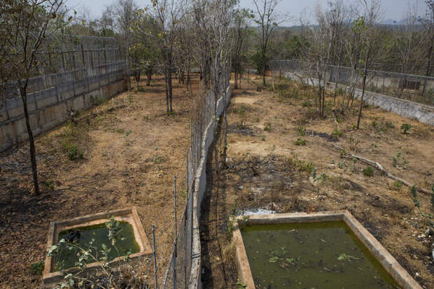 Тигриный монастырь