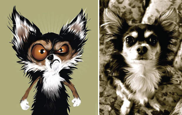 Портреты домашних животных, созданные по описаниям их владельцев