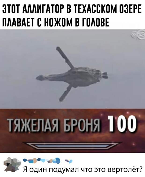 Подборка картинок. Вечерний выпуск (30 фото)