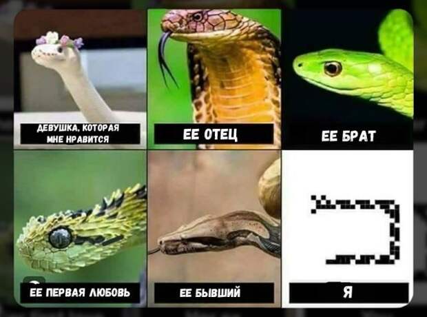 Лучшие хохотушки дня. Смейтесь на здоровье!