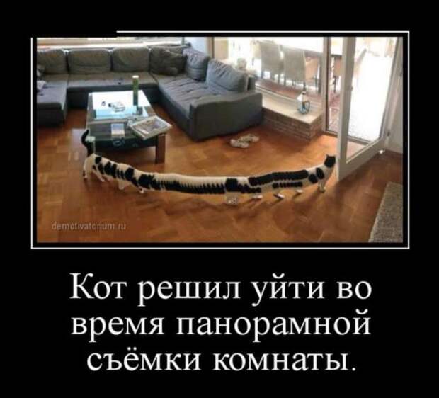 Демотиваторы. Подборка chert-poberi-chert-poberi-04220805052020-2 картинка chert-poberi-04220805052020-2