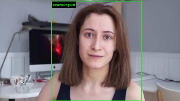 imagenet roulette