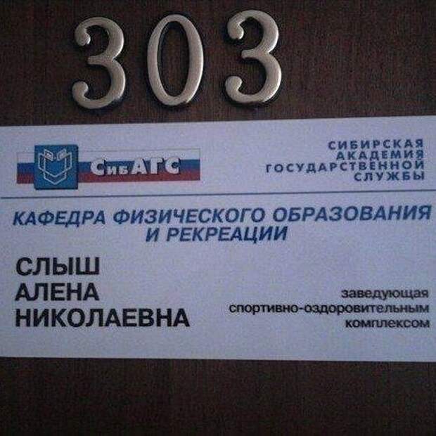 Фамилии - отдельный вид искусства Фамилии - отдельный вид искусства