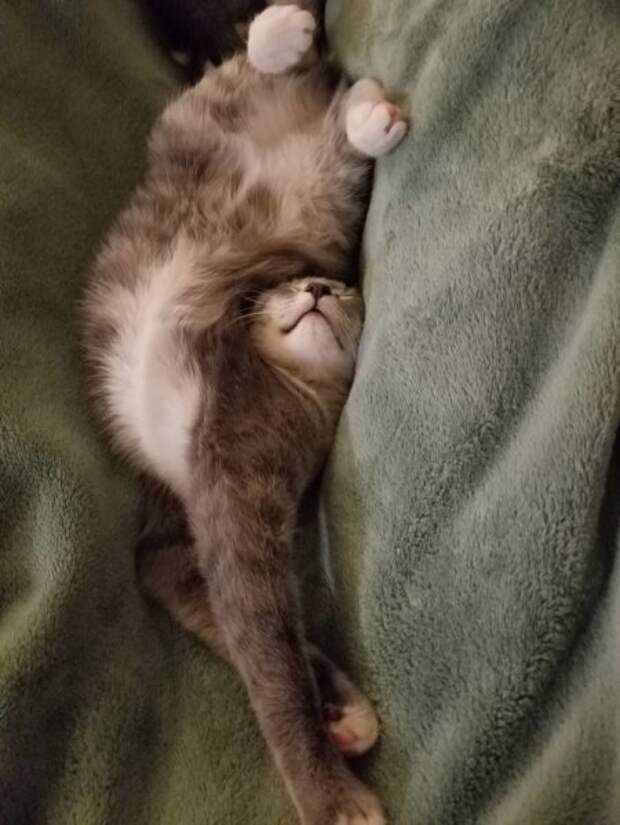 Милота уснула Милота уснула