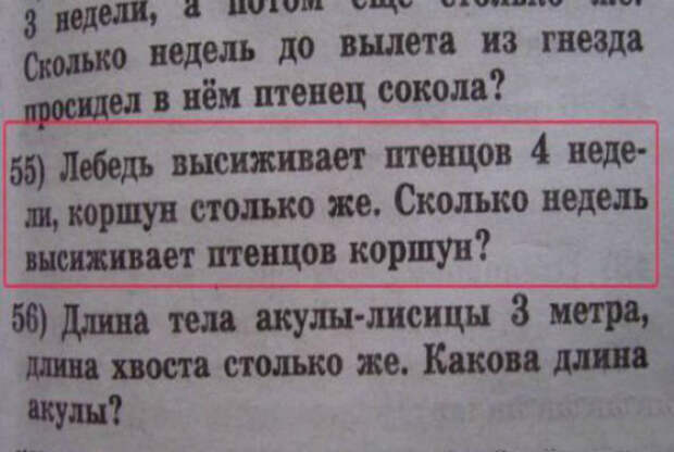 Задачка от Капитана Очевидность. | Фото: Крутой облом. Задачка от Капитана Очевидность. | Фото: Крутой облом.