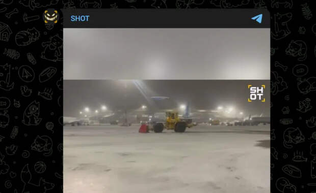 Сильная метель парализовала работу аэропортов в Подмосковье