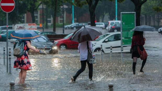 В Москве за день выпало почти 40% месячной нормы осадков