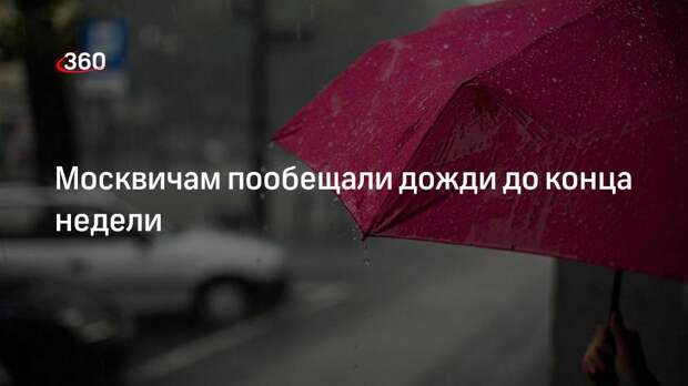 Главный специалист Гидрометцентра Макарова: дожди в Москве продлятся до конца недели