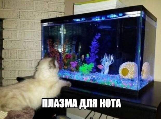 30 прикольных зарядов на всю неделю