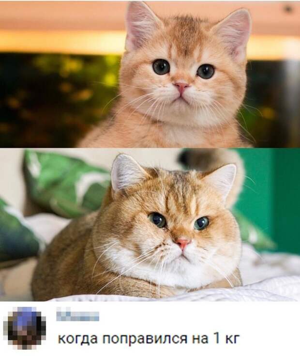 Время идёт, щёчки растут
