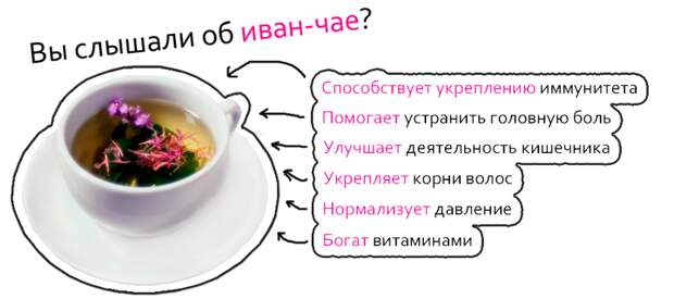 Полезные факты об иван-чае