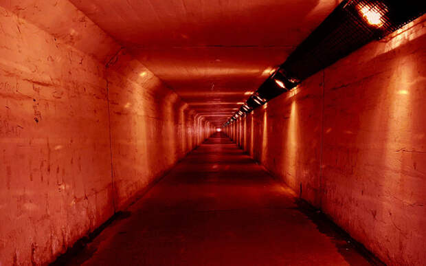 Устройство бункера Марка Цукерберга: миллиардер купил его за 170 миллионов долларов