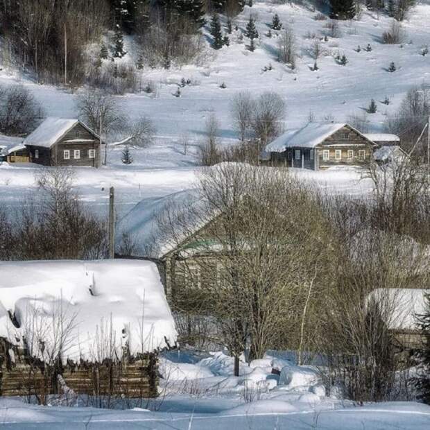 Сонные деревянные домики русской деревни, заметенные снегом.