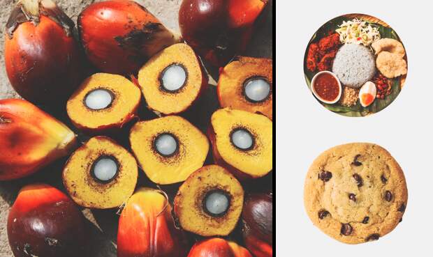 Продукты и пищевые добавки, которых не стоит бояться